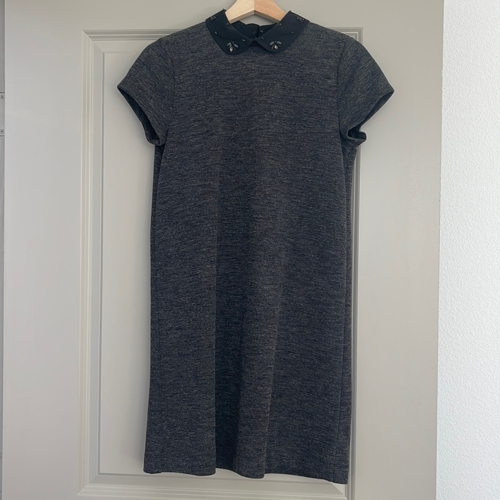 Ann Taylor Loft SP a line collar dress
